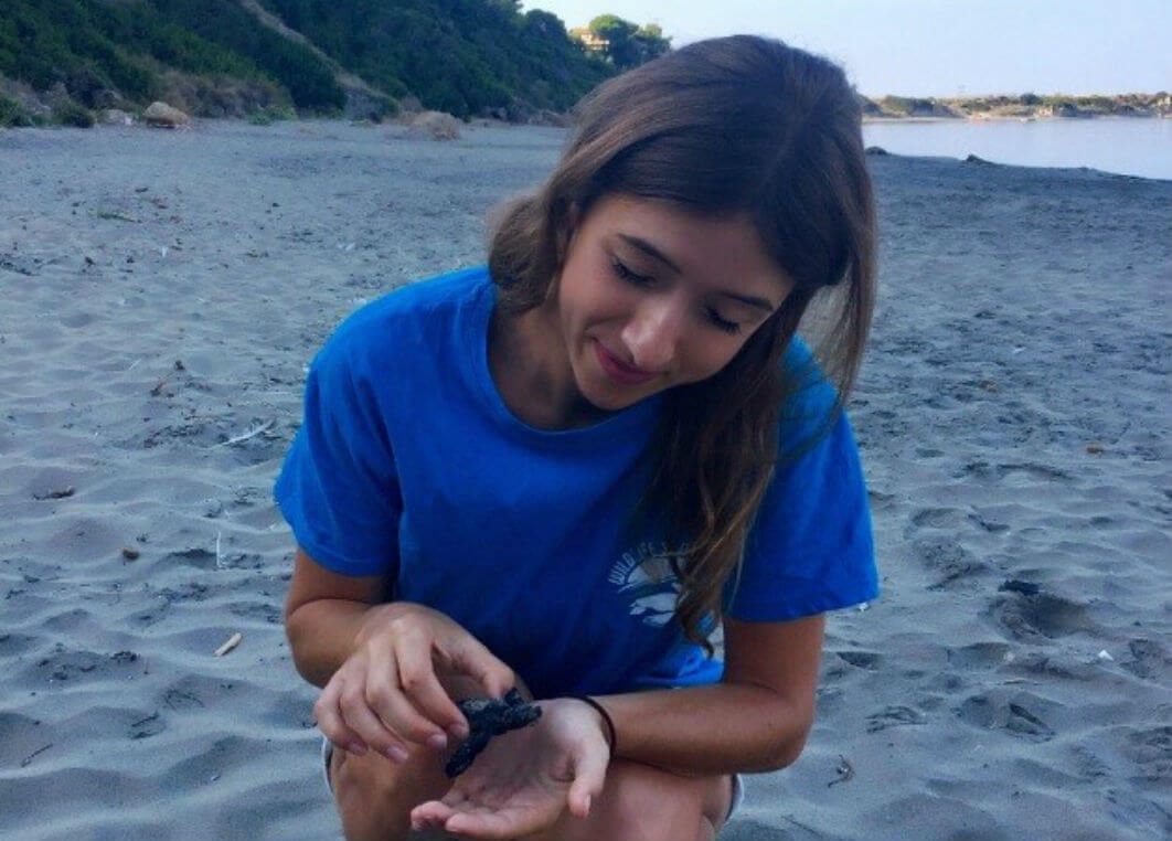 Turtle hatchlings on Minies Beach=